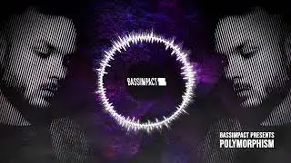 Guest Mix #04: POLYMORPHISM | Riddim