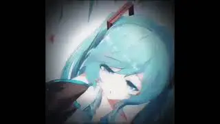 Day 5 Collecting Miku Fans!💙