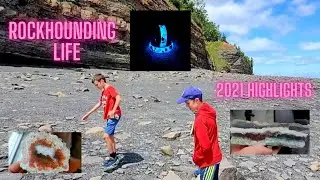 ROCKHOUNDING LIFE In 2021 | Favorite Moments