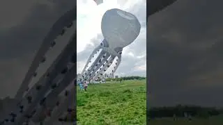 Huge octopus kite flying in the sky #kite #satisfying #shorts 💙💙