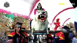 TEMOAN PENGANTEN BARU - MELOV - WANAJAYA TAMBAKDAHAN SUBANG -  31 October 2025   01 43 38 PM   00000