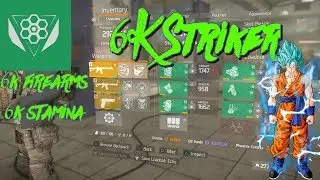 MY 6K FIREARMS AND 6K STAMINA BALANCED CLASSIFIED STRIKER BUILD 1.8 (NEW)