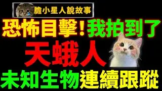 【新发怪事】我可能拍到了天蛾人！详述十年数次恐怖目击未知生物始末！｜警惕莫名其妙靠近你的人！！！｜狸狸垣上跑