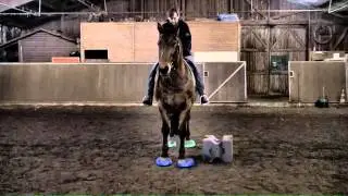 SURE FOOT Equine Stability Program&trade;