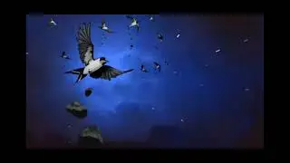 akillar 😎😎