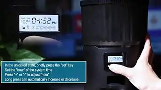 New 4L Pet Feeder Cat Dog Smart Food Dispenser Regular Quantitative Feeding With Audio Recording Fee