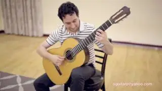 Sean satin guitar