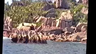 extrait de mon sejours aux seychelles - la nature par exellence -