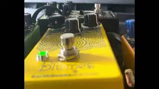 EQD BLUMES IMHO is better on bass than the OG EQD Plumes
