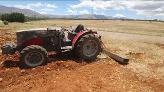 massey ferguson 3625f ile kayısı sergisi düzeltiyoruz