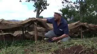 Coffee Trails - Ethiopia