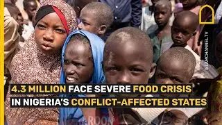4.3 million face severe food crisis in Nigeria&rsquo;s conflict-affected states