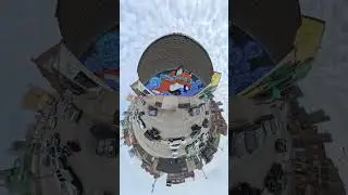 Fox Mural by Sabertooth Thomas #publicart #360misc #360photographer