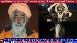 गुरु गोरक्ष नाथ#बाबा मोहनराम गौशाला#योगी बाबा सतपाल नाथ#योगी बाबा छोटे नाथ#गांव नाथूपुर सबोली#सोनीपत