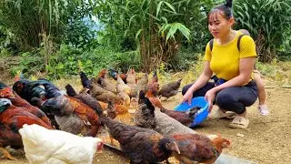 And the girl harvested the vegetables from the garden and took them to the market to sell.Lý Thị Đào