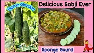 SABJI recipe/ Tamil /Side dish for chappathi and rice/Spongegourd recipe/பீர்க்கங்காய் recipe