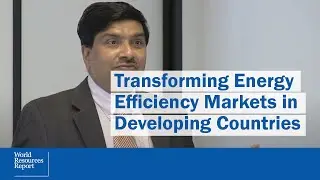 Transforming Energy Efficiency Markets in Developing Countries