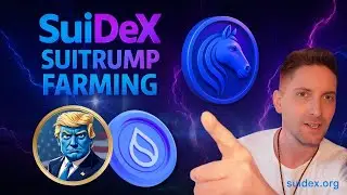 СТРАТЕГИЯ ПОСТРОЕНИЯ МЕШКА SUITRUMP ДЛЯ ФЕРМЕРСТВА НА SUIDEX