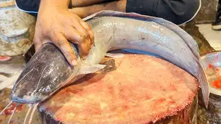 I Never Seen!! Giant Monster Catfish Magur Cutting Skills In Bangladesh Fish Market 