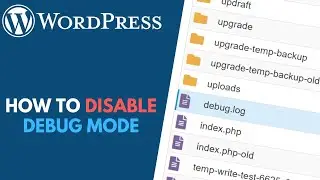 WordPress: How to Deactivate Debug Mode // Disable Debug Mode via File Manager
