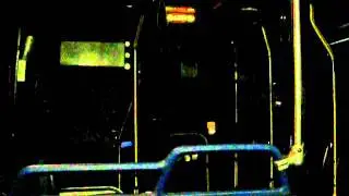 Riding the 229 Westlynn Via East 29th Street at night time