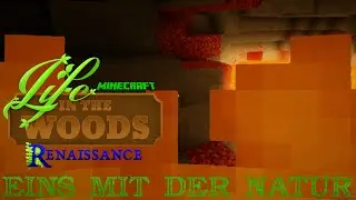 Life in the Woods #074 ☆ Cedes Binz verbrannte... -.- ☆ (HD+ | Minecraft PC)