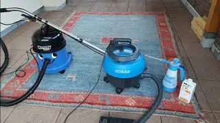 Teppich reinigen wie ein Profi