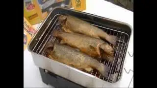 Behr Räucherofen / Behr Smoker