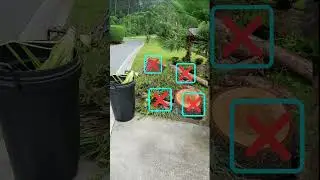 Yard Waste Collection