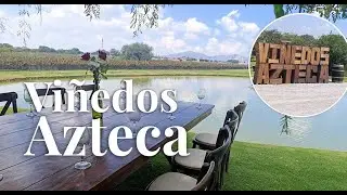 🍷 Viñedos Azteca, la bodega queretana con alma mexicana y amor por los caballos 🐎 🇲🇽