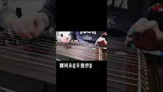 古風歌曲串燒/崔江卉編配/松柏163典藏款古箏/Chinese Zither