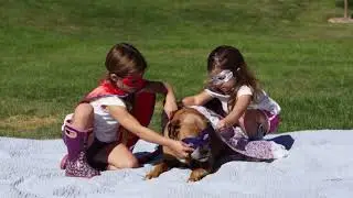 A Brief History of Dogs by Cesar Millan