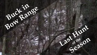 Buck in Bow Range - Season Finale - Central PA Public Land - Late Archery Deer Hunting - Bowhunting
