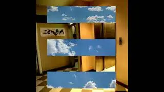 Surri - Viscera