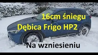 Dębica HP2 w głębokim śniegu | Rzetelny test bez ściemy | Mazda CX-3