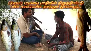Meen valarpu in tamilnadu//meen valarpu murai in tamilnadu