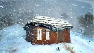SNOWSTORM in Alaska 2024 years for sleeping 10 hours. Cozy snowstorm sounds for sleeping