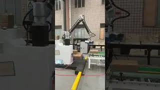 Automatic robot Stacking Machine Carton Cobot Palletizer Collaborative Robot Palletizing System Line
