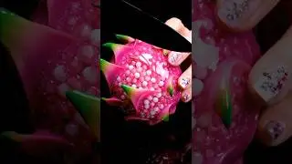 Glass Fruit #19 &ndash; Dragon Fruit &ndash; Digital Art & Structure