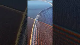 two tides collide and something magical unfolds