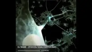 DJ Wank - ZFHX2 (DJ Scale Ripper RMX) (Acidworx)