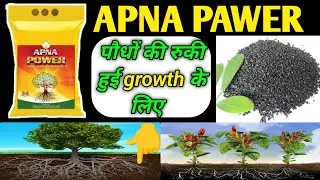 Apna Power Fertilizer | Humic Acid | जड़ो के अंदर जाकर करें काम | पौधों के लिए रामबाण
