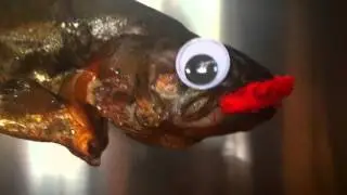 Trout Pout