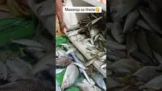 Isdang bato lang Sakalam. #fishing #fishinglife #fishingadventure #fish #primitivefishing
