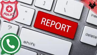 How to report a contact or chat on WhatsApp