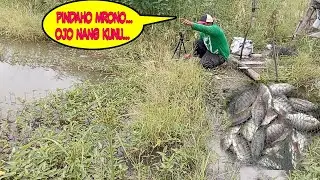 @Topanlamongan marah saat saya pepet lapak mancing nya🤭🤭🤭