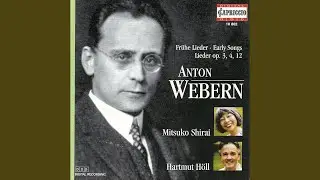 4 Songs, Op. 12: No. 3. Schien mir's, als ich sah die Sonne