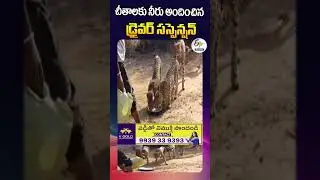 చీతాలకు నీరు అందించిన డ్రైవర్ సస్పెన్షన్