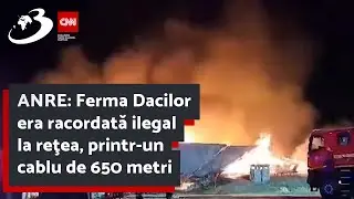 ANRE: Ferma Dacilor era racordată ilegal la reţea, printr-un cablu de 650 metri