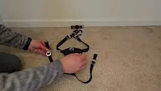 Kurgo Tru Fit Enhanced Strength Dog Harness, Crash Tested Car Safety Harness for Dogs Review